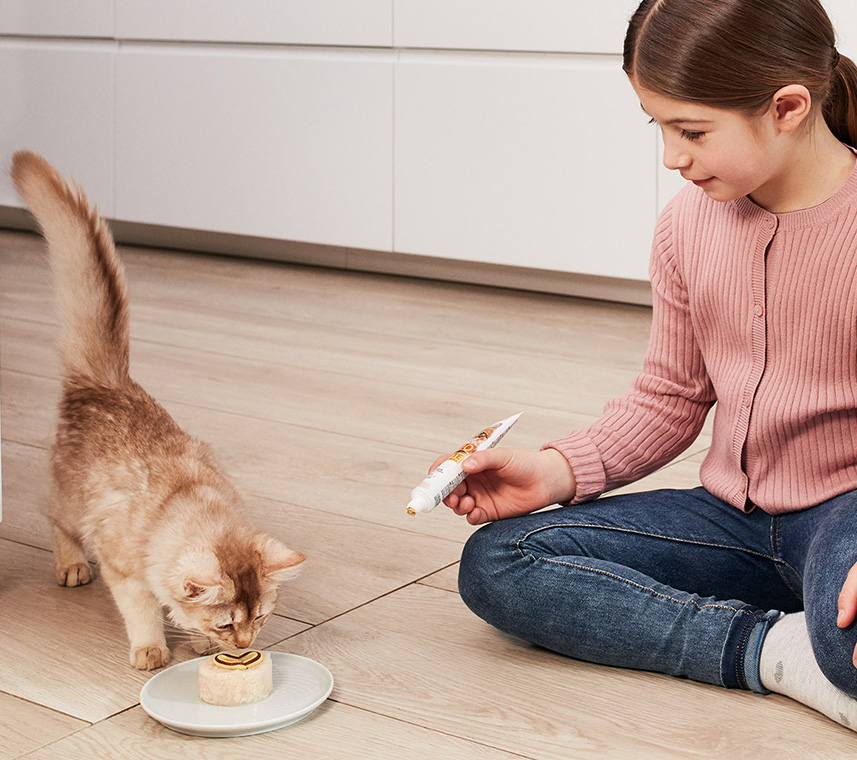 Fütterung DUO-Paste