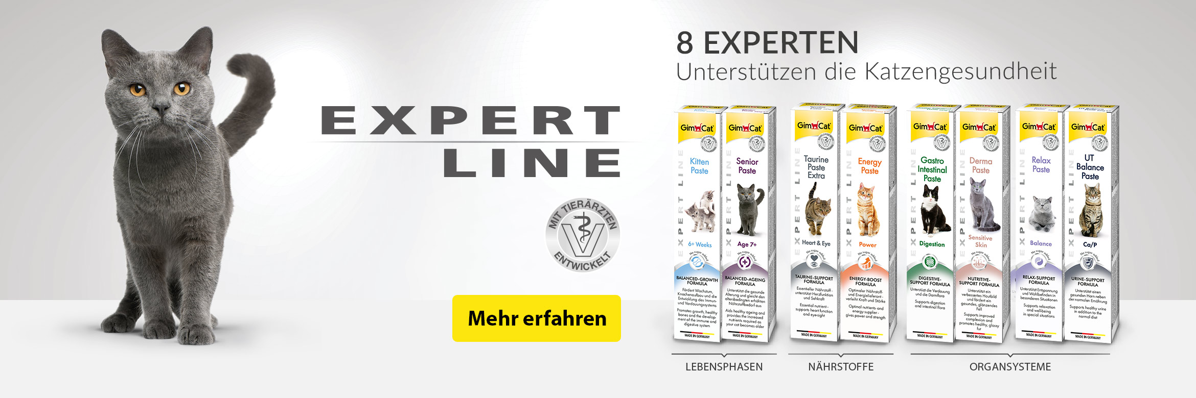 Expert Line Pasten