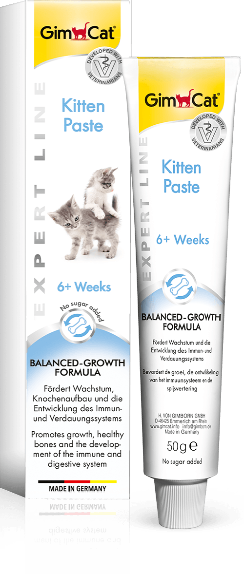 Kitten Paste